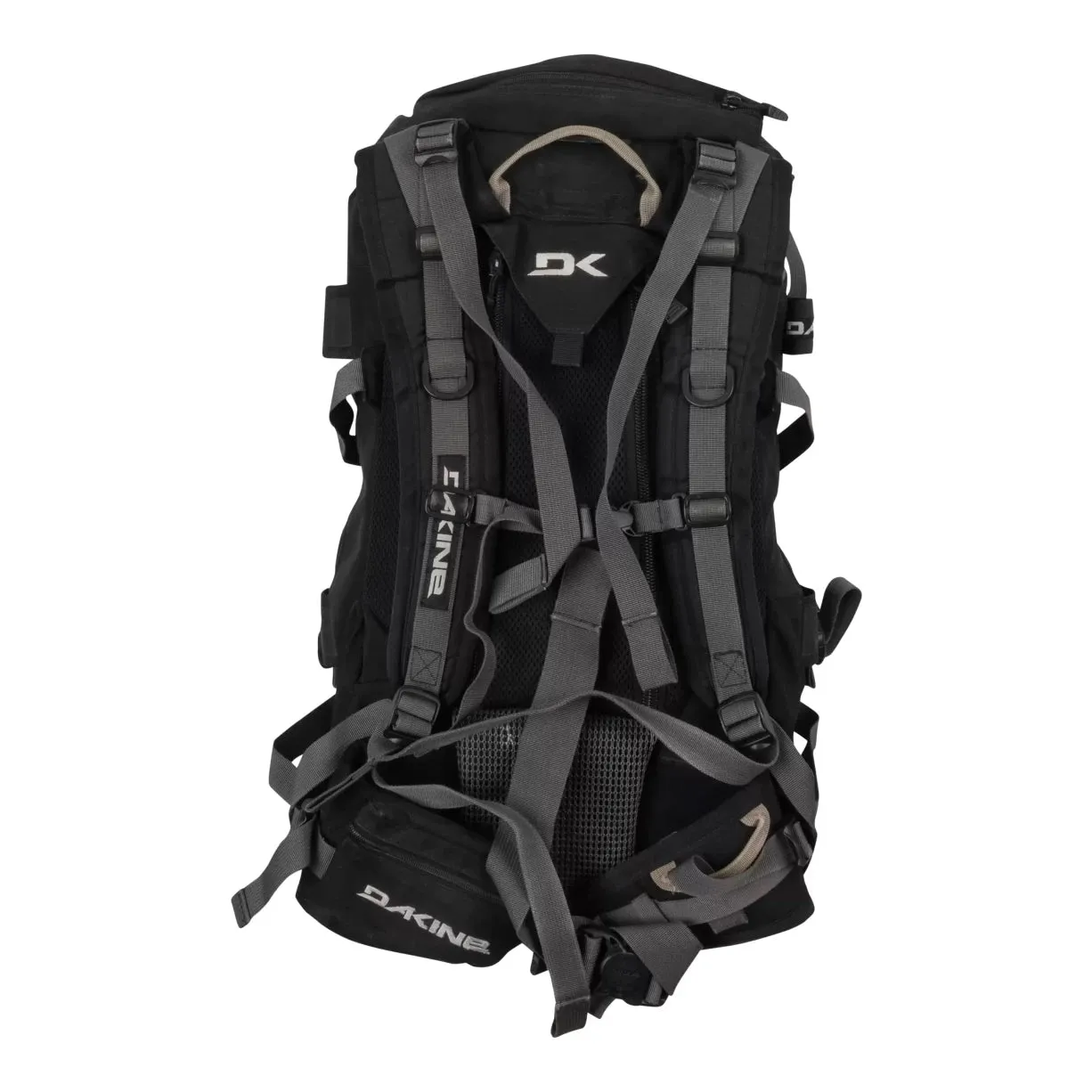 Dakine Chute Ski Backpack